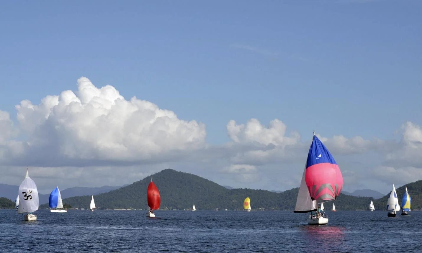 FLIP Experience: Descubra a Emoção da Regata Bracuhy em Angra dos Reis