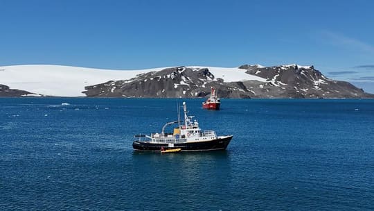 O Hans Hansson fundeado em uma baía das Shetland do Sul