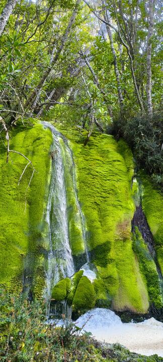 Cachoeira descendo por pedras cobertas de musgo verde