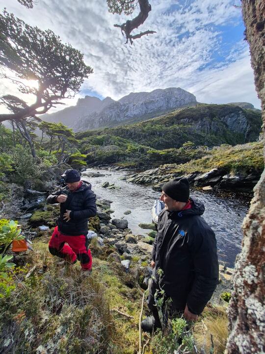 Caminhada pela floresta subantártica, à beira de um rio